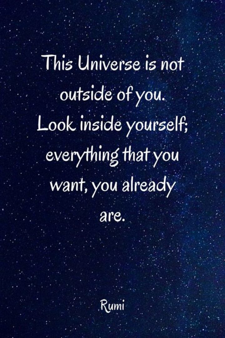 "The Universe is not outside of you. Look inside yourself; everything that you want, you already are." - Rumi