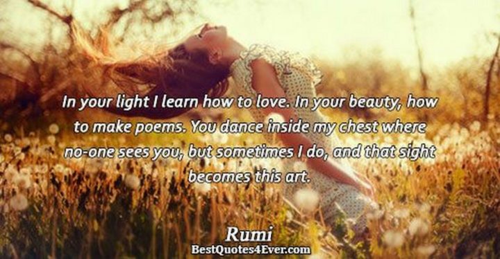 "In your light, I learn how to love. In your beauty, how to make poems. You dance inside my chest where no-one sees you, but sometimes I do, and that sight becomes this art." - Rumi
