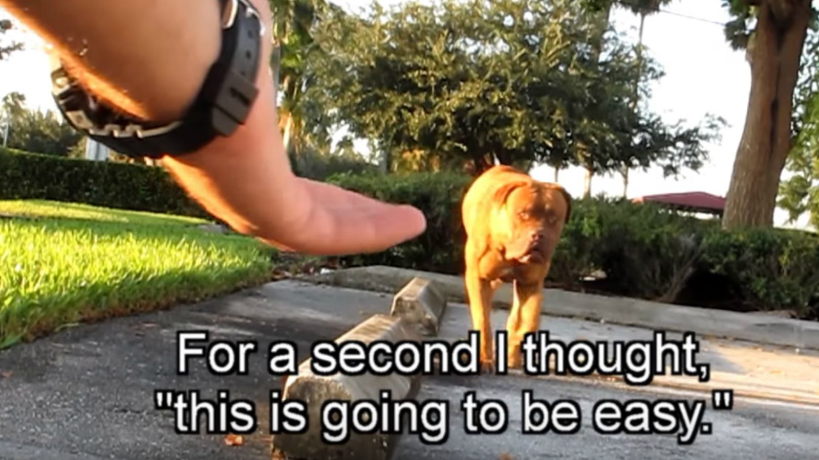 This Stray Thought She Deserved to Be Alone and Homeless. Then, a Hero Held Out His Hand…