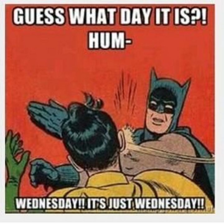 "Guess what day it is?! Hump day? Wednesday!! It's just Wednesday!!"
