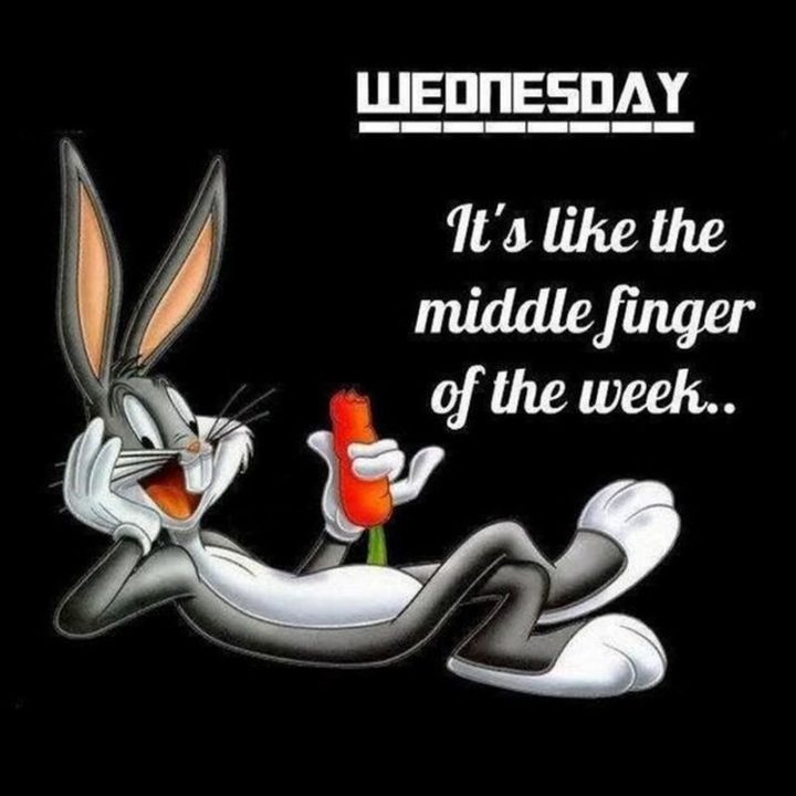 "Wednesday, hump day. It's like the middle finger of the week..."