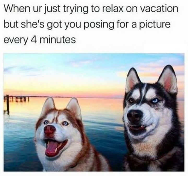 15 Vacation Memes - "When ur just trying to relax on vacation but she's got you posing for a picture every 4 minutes."