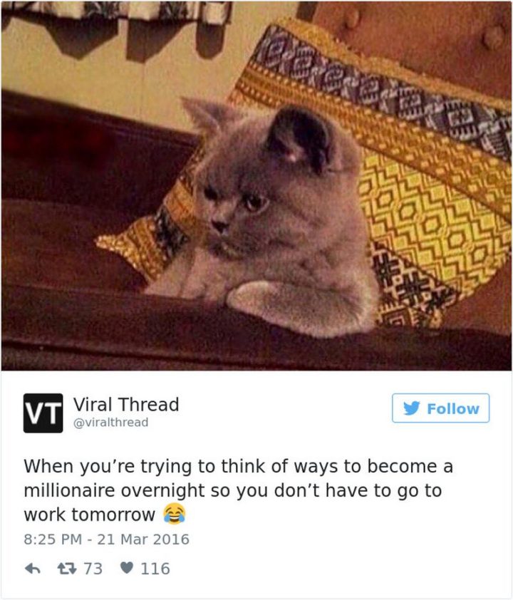 47 Funny Work Memes - Quando se é um href='re <a href=