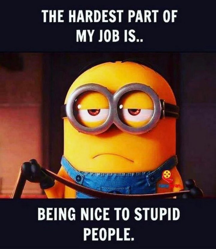 47 Funny Work Memes - "The hardest part of my job is...being nice to stupid people."