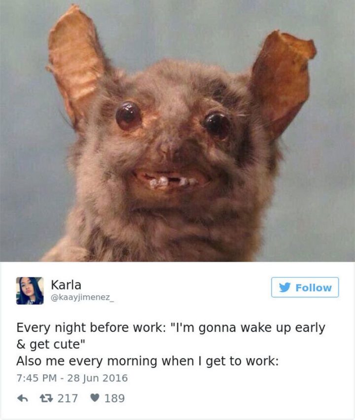 47 Funny Work Memes - Todas as noites antes do trabalho: Vou acordar cedo e ficar giro Também eu todas as manhãs quando chego ao trabalho:'m gonna wake up early & get cute" Also me every morning when I get to work:"