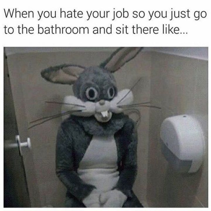 47 Funny Work Memes - "When you hate your job so you just go to the bathroom and sit there like..."