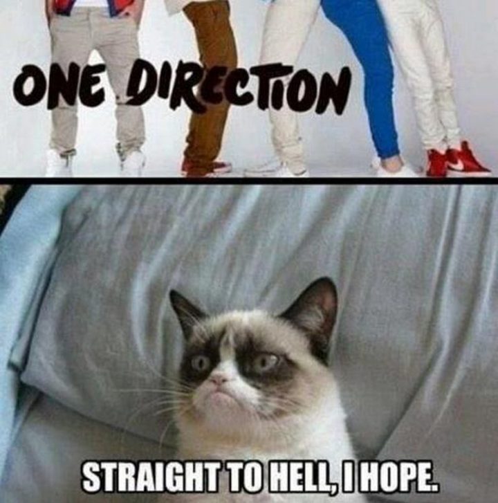 "One direction straight to hell, I hope."