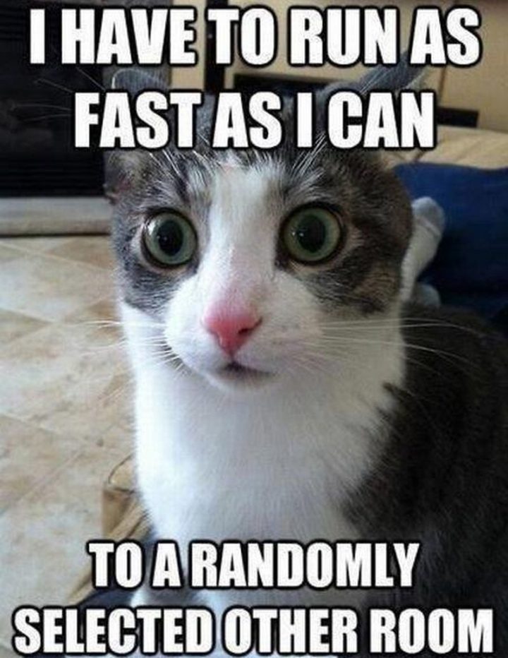 "I have to run as fast as I can to a randomly selected other room."