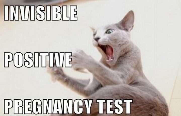 "Invisible positive pregnancy test."