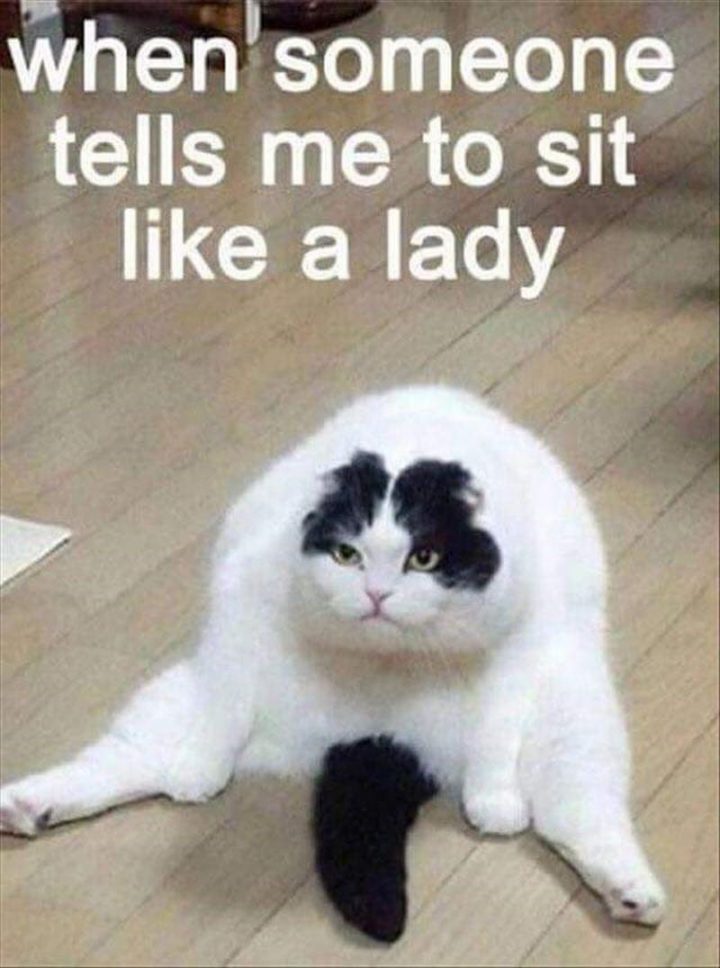 "When someone tells me to sit like a lady."