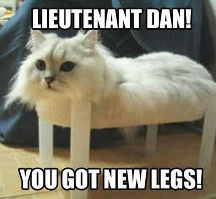 "Lieutenant Dan! You got new legs!"