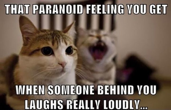 "That paranoid feeling you get when someone behind you laughs really loudly..."