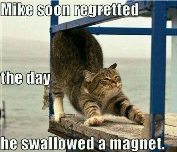 "Mike soon regretted the day he swallowed a magnet."
