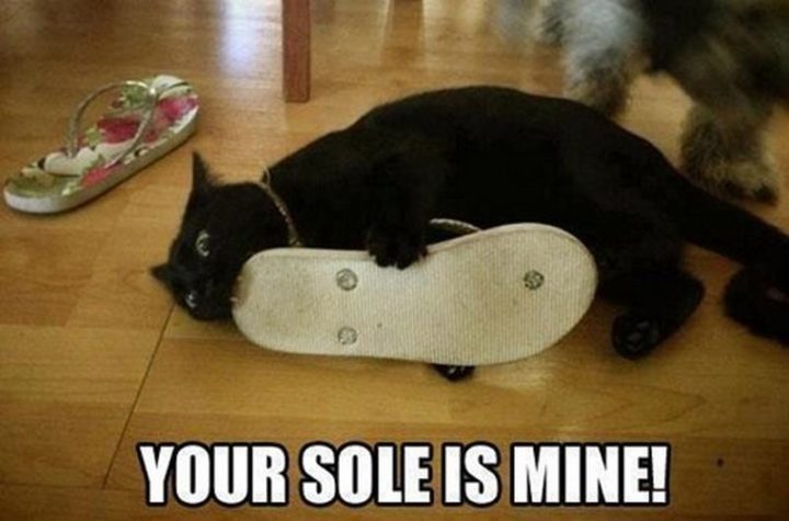 "Your sole is mine!"