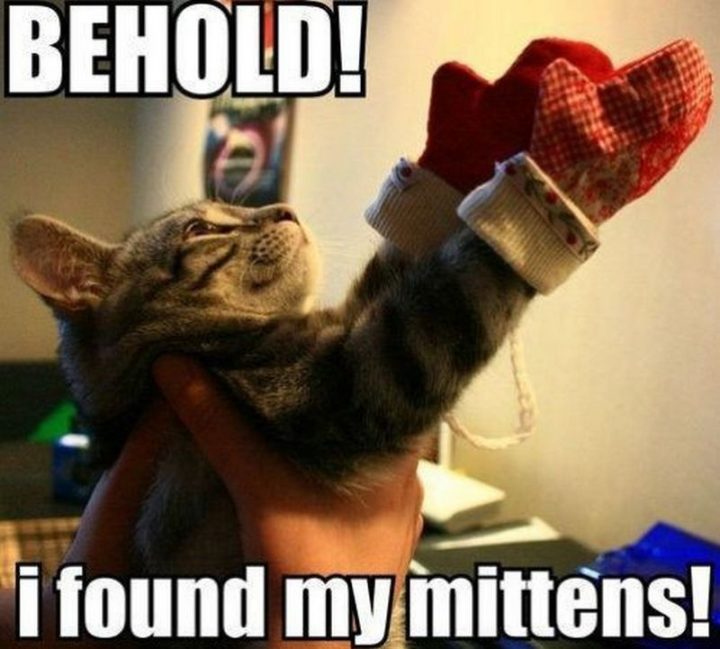 "Behold! I found my mittens!"