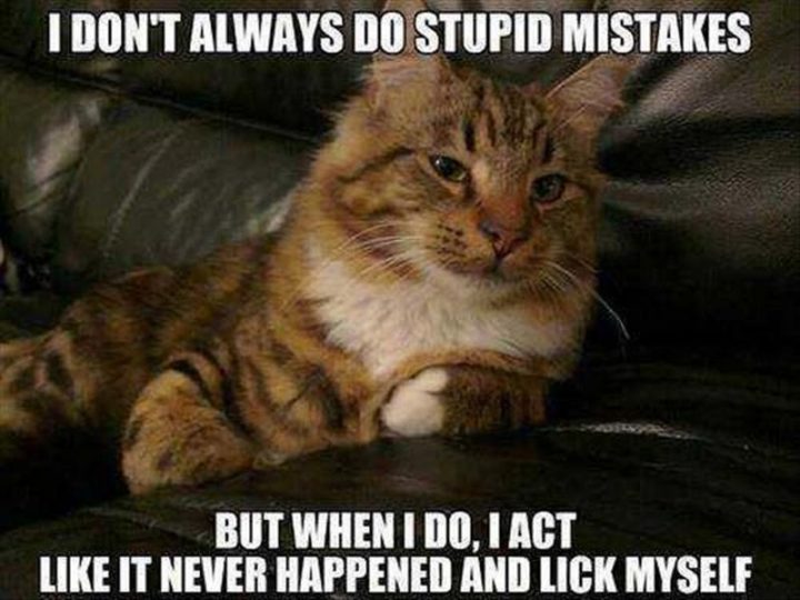 "I don't always do stupid mistakes but when I do, I act like it never happened and lick myself."