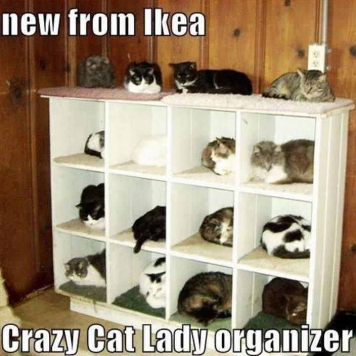 "New from IKEA. Crazy Cat Lady organizer."