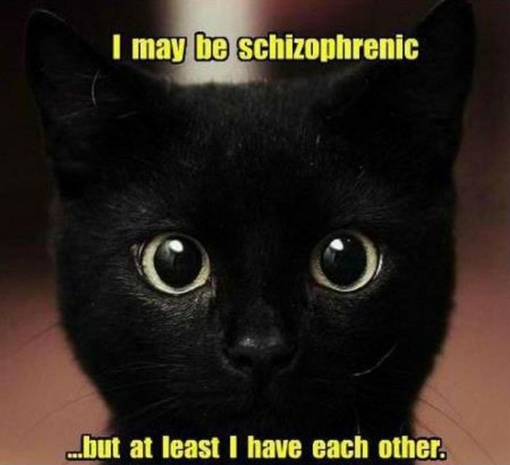 "I may be schizophrenic...but at least I have each other."