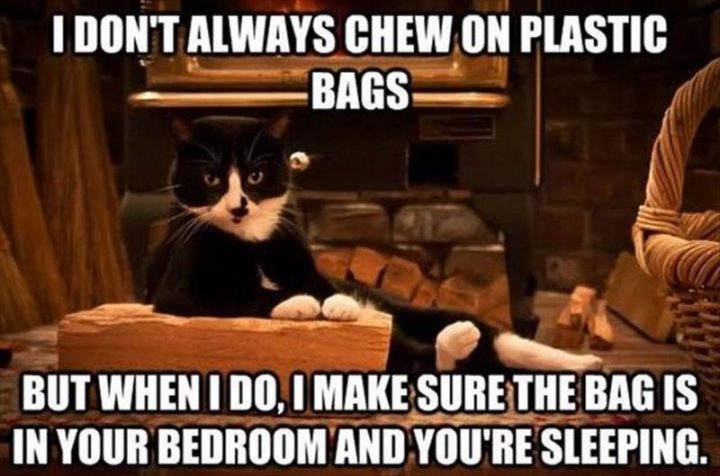 "I don't always chew on plastic bags but when I do, I make sure the bag is in your bedroom and you're sleeping."