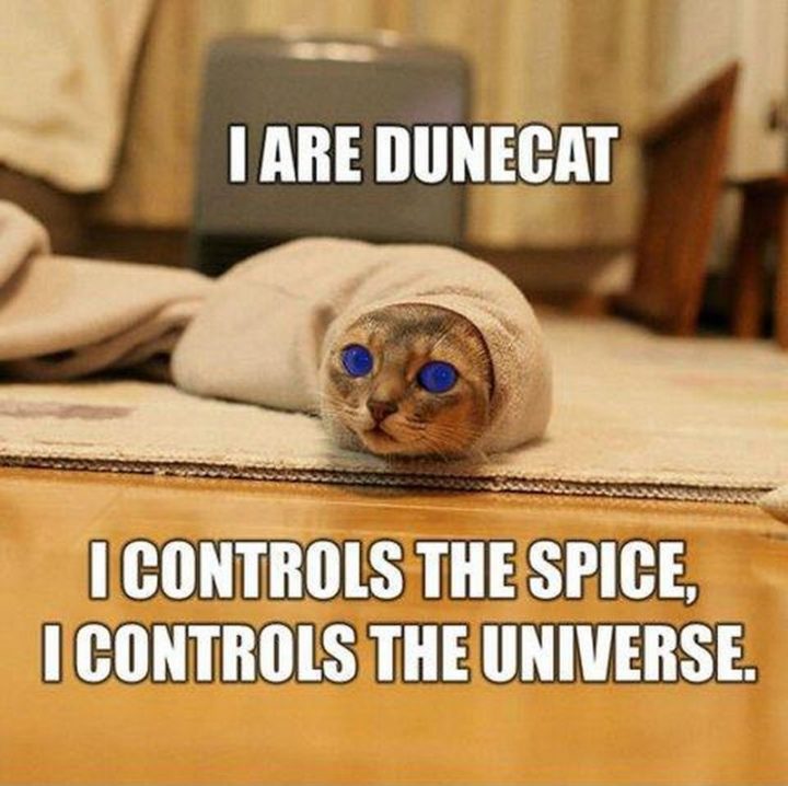 "I are dunecat. I controls the spice, I controls the universe."