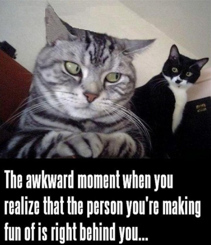 "The awkward moment when you realize that the person you're making fun of is right behind you."