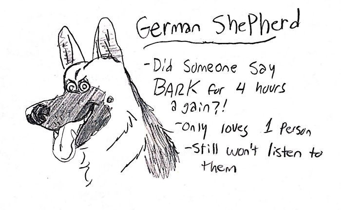 Funny Guide to Dog Breeds - German Shepherd.