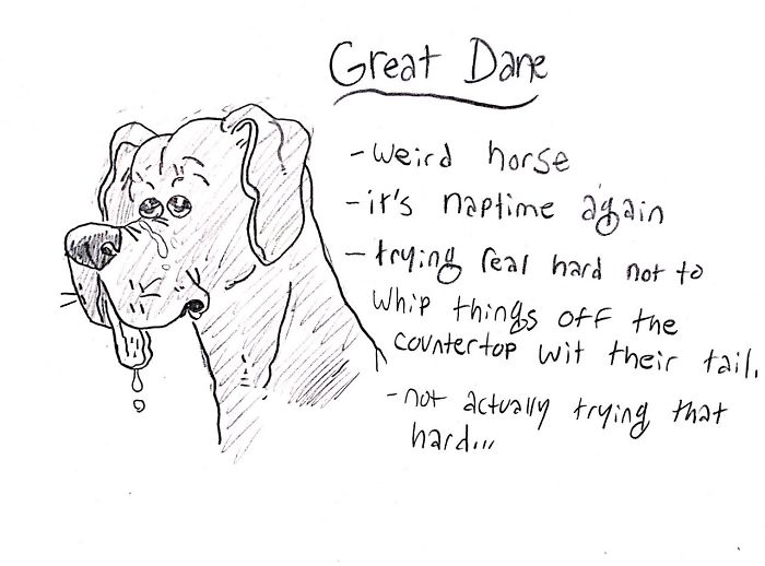 Funny Guide to Dog Breeds - Great Dane.
