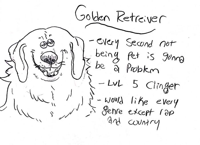 Funny Guide to Dog Breeds - Golden Retriever.
