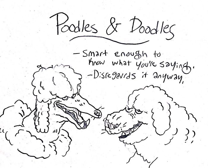 Funny Guide to Dog Breeds - Poodles and Doodles.