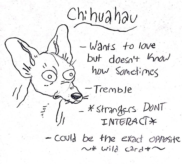 Funny Guide to Dog Breeds - Chihuahua.
