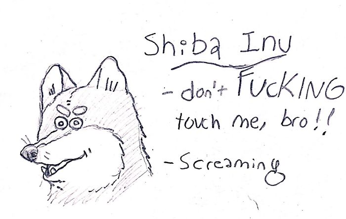 Funny Guide to Dog Breeds - Shiba Inu