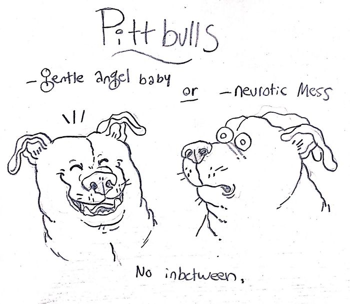 Funny Guide to Dog Breeds - Pitbulls.