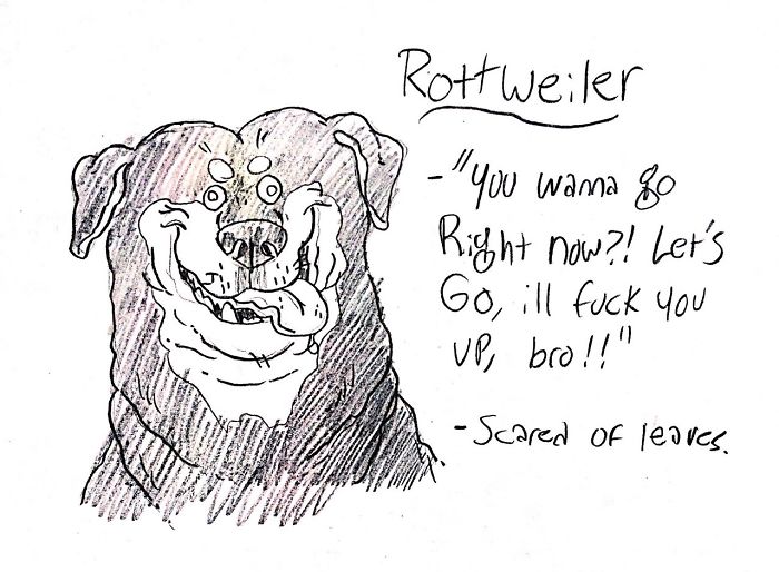 Funny Guide to Dog Breeds - Rottweiler.