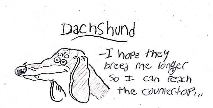 Funny Guide to Dog Breeds - Dachshund.
