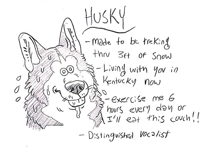 Funny Guide to Dog Breeds - Husky.