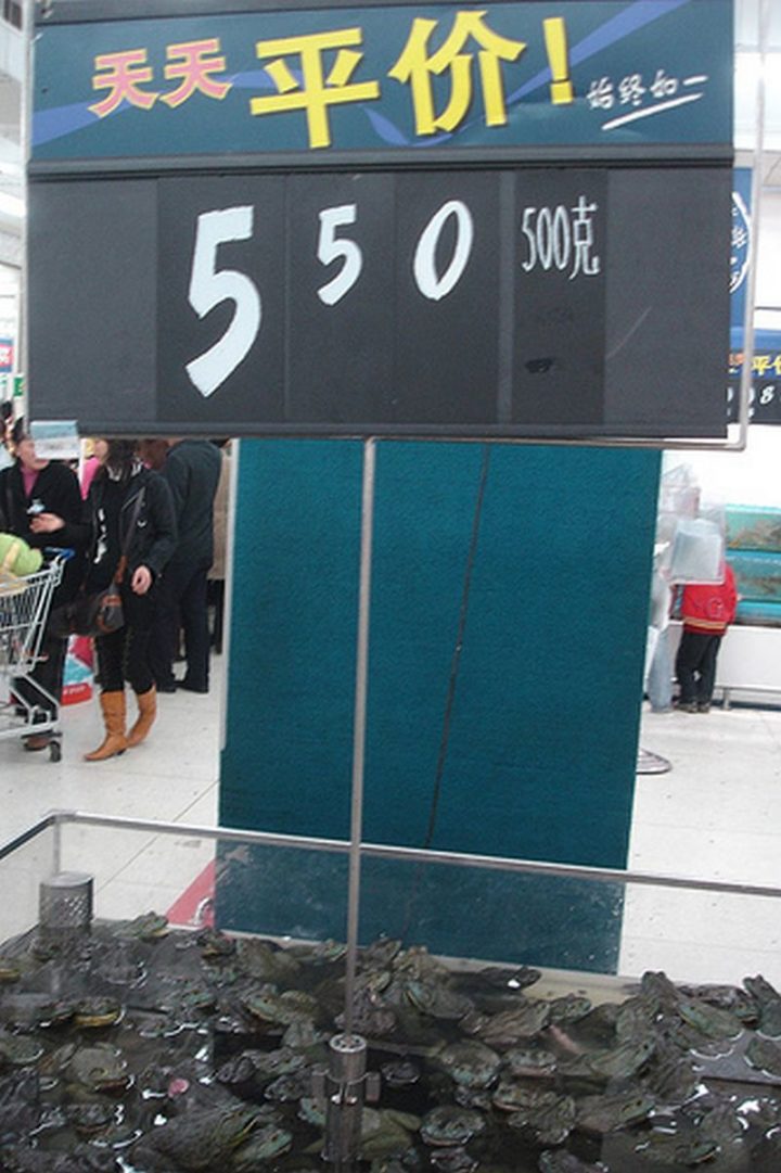 15 Items Sold at Walmart Stores in China - More frogs...how do they not jump out?