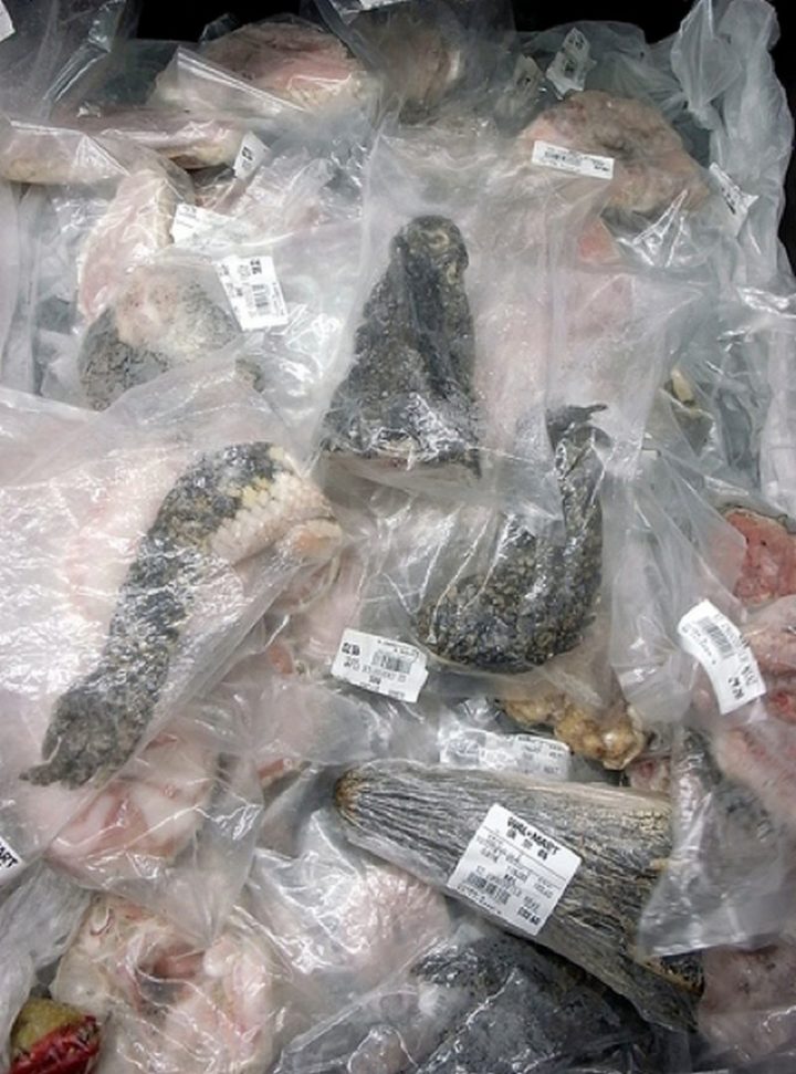 15 Items Sold at Walmart Stores in China - Dried reptile parts.
