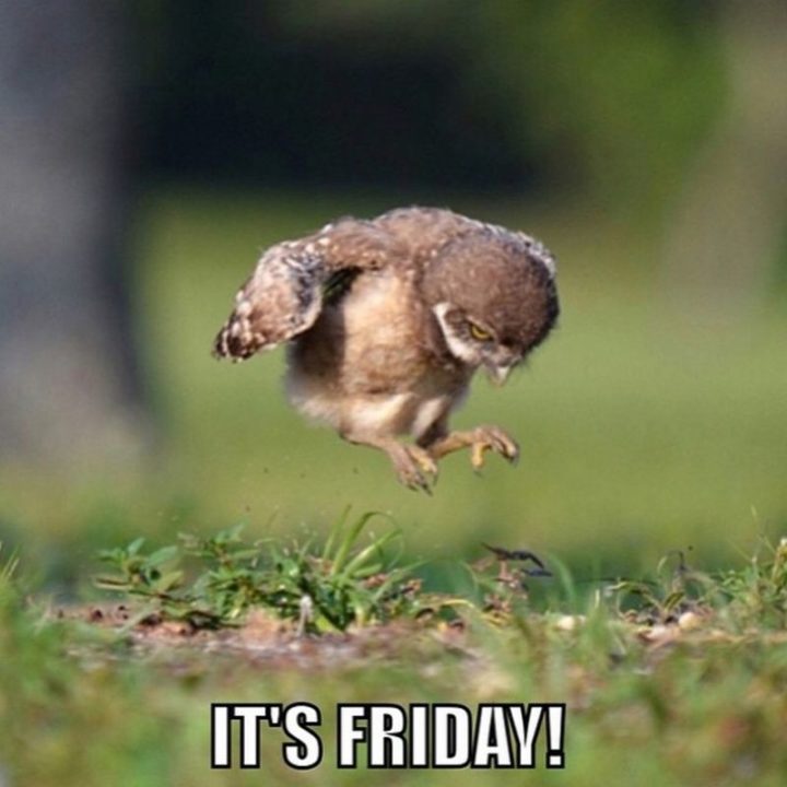 Its Friday Meme Happy Friday Dance Dancing, beer, wine and relaxing