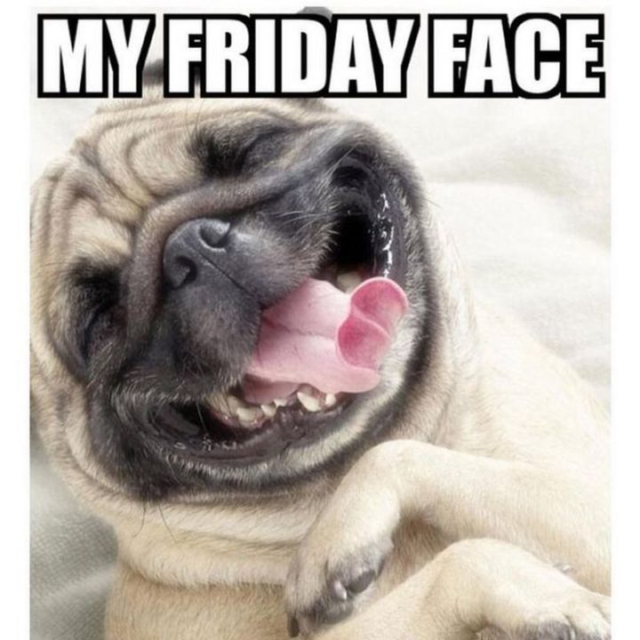 14 Friday Quotes Funny Happy Friday Meme Funny Work W