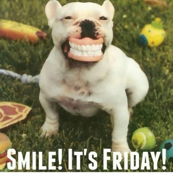 "Smile! It's Friday!"