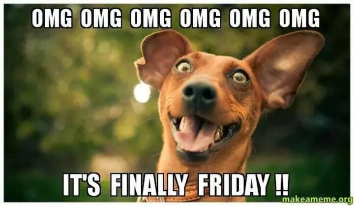 "OMG, OMG, OMG, OMG, OMG, OMG, it's finally Friday!!"
