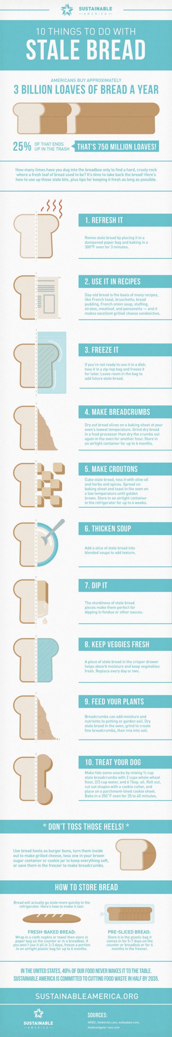 10 things to do with stale bread infographic.