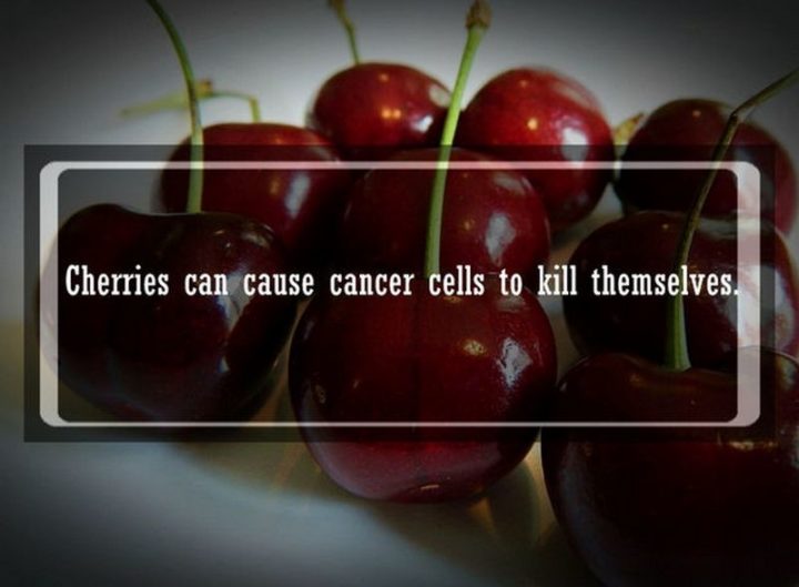 19 Food Facts -"Cherries can cause cancer cells to kill themselves."