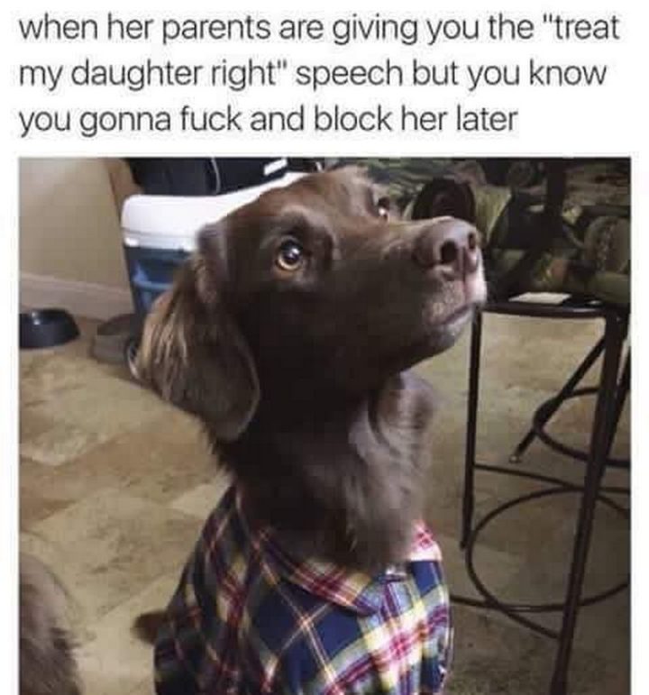 101 Funny Dog Memes - "When her parents are giving you the "treat my daughter right" speech but you know you gonna f*** and block her later."