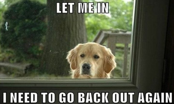 "Let me in. I need to go back out again."