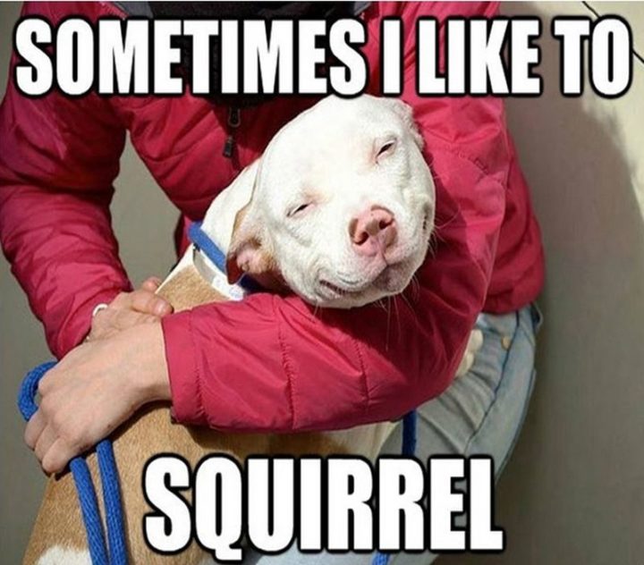 "Sometimes I like to squirrel."