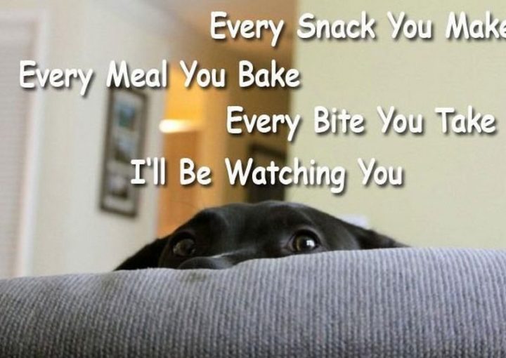 "Every snack you make, every meal you bake, every bite you take, I'll be watching you."