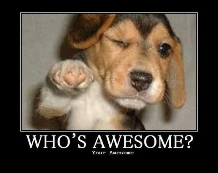 "Who's awesome? Your awesome."