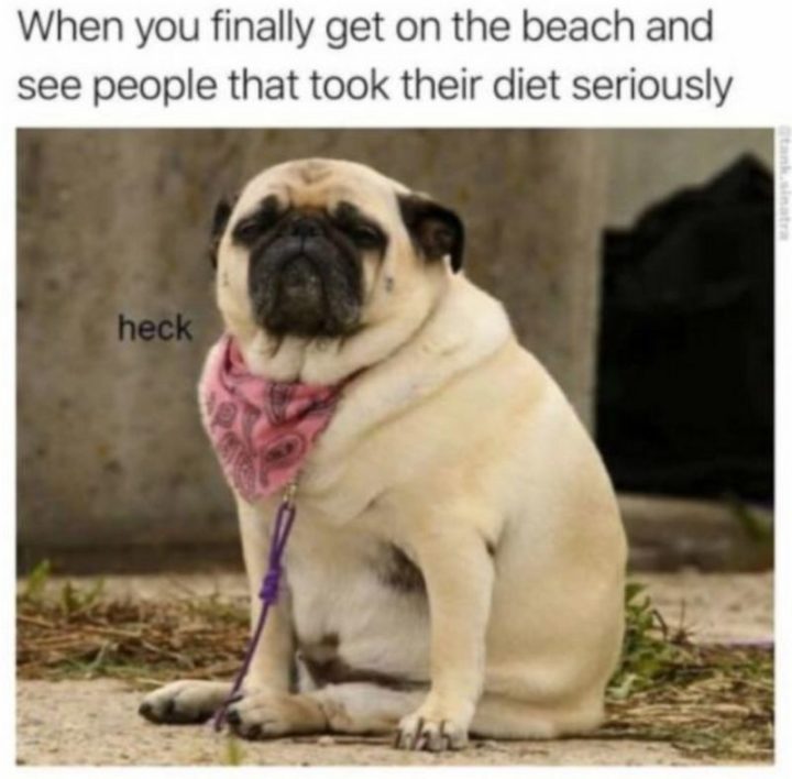 "When you finally get on the beach and see people that took their diet seriously."