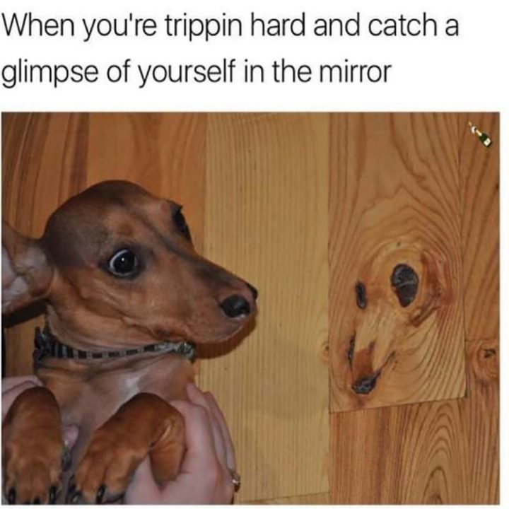 "When you're trippin hard and catch a glimpse of yourself in the mirror."